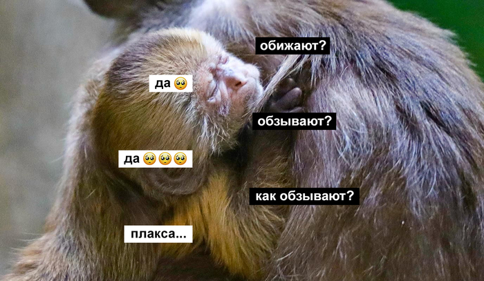      -  , , , , , , ,  , 
