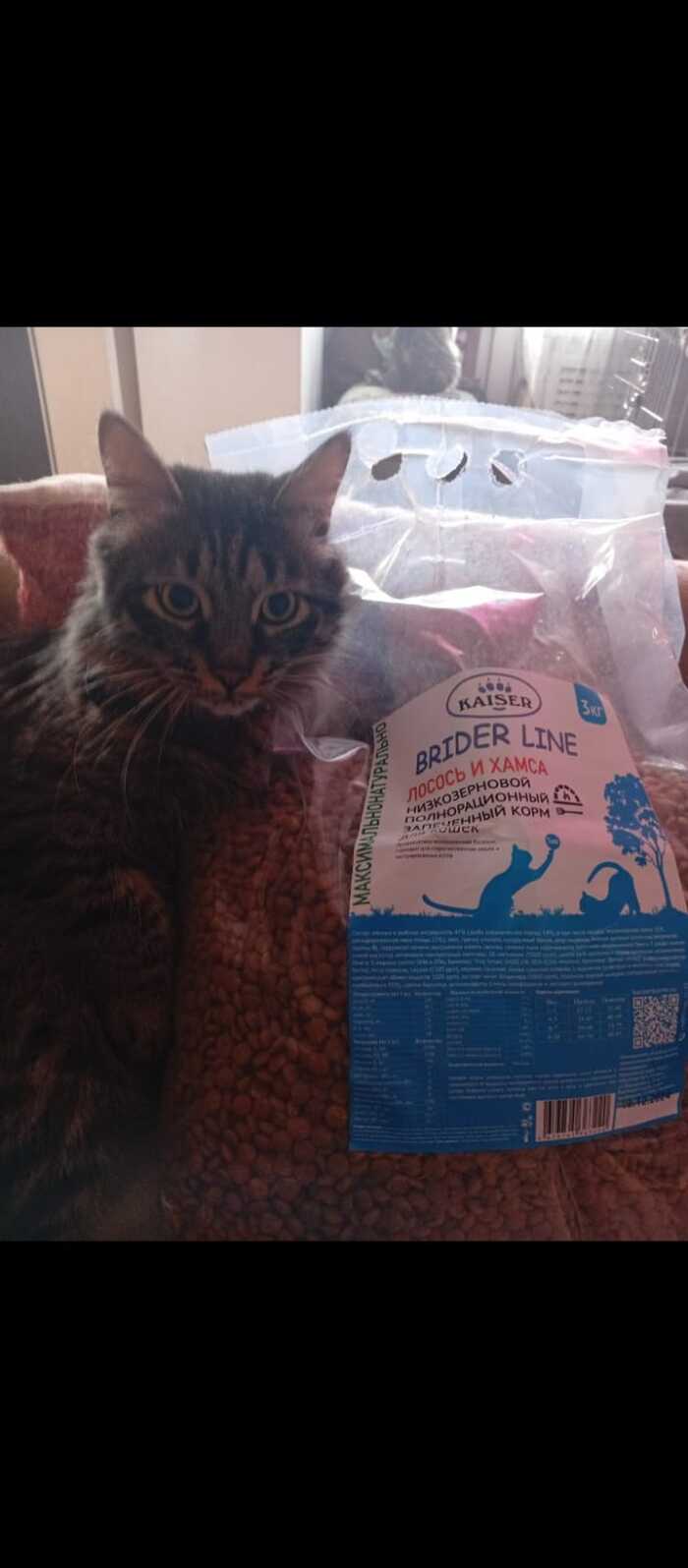  ,     ,        ! ,  , ,  , , , 
