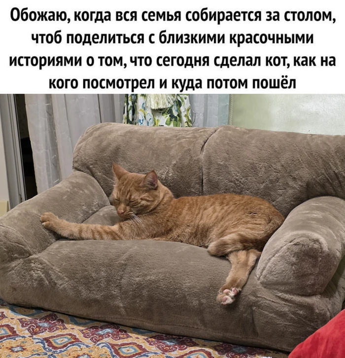 :  ". ()"  7703380158