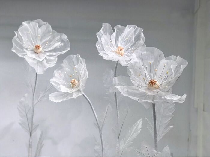 Цветы из рисовой бумаги. Фото с сайта <!--noindex--><a href="https://pikabu.ru/story/pro_risovuyu_bumagu_12614326?u=http%3A%2F%2Fbalabolkina.ru&t=balabolkina.ru&h=d3cfece1f6c38e6e9f1bc856a22df26a3c544f2e" title="http://balabolkina.ru" target="_blank" rel="nofollow noopener">balabolkina.ru</a><!--/noindex-->.