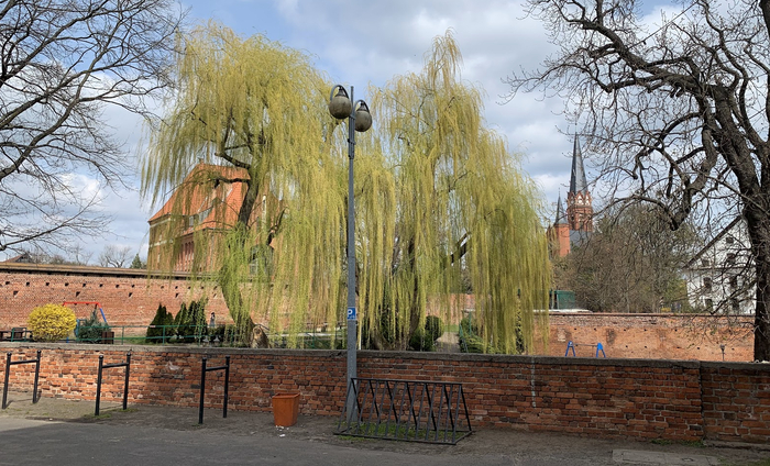 Городские стены