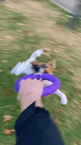   , , , 