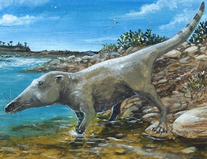 Пакицет ("пакистанский кит")