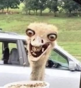       ! , , , , ,  