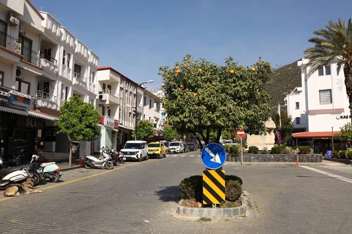 Мандаринки