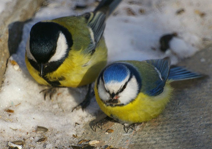 , ,        ,             .