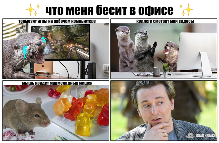     ,  I ,   , , ,   , , , ,  ,  , ,  