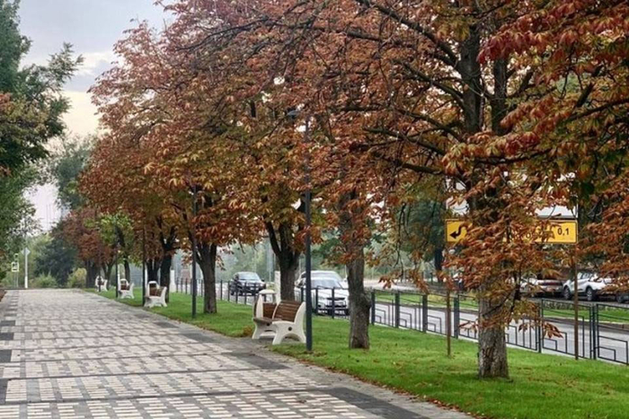 Это дело "рук" лапок каштановой минирующей моли (другое название – охридский минёр). Ее главная жертва – каштан конский обыкновенный, который озеленители так любят вписывать в городские ландшафты.