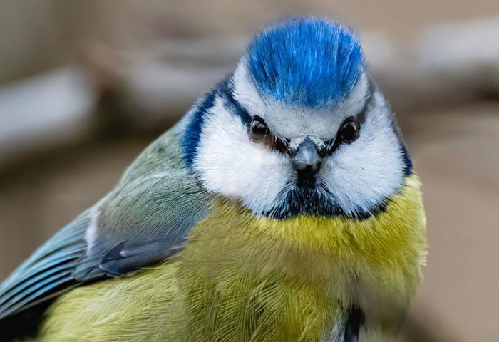    ,      ,  ,   ,    .