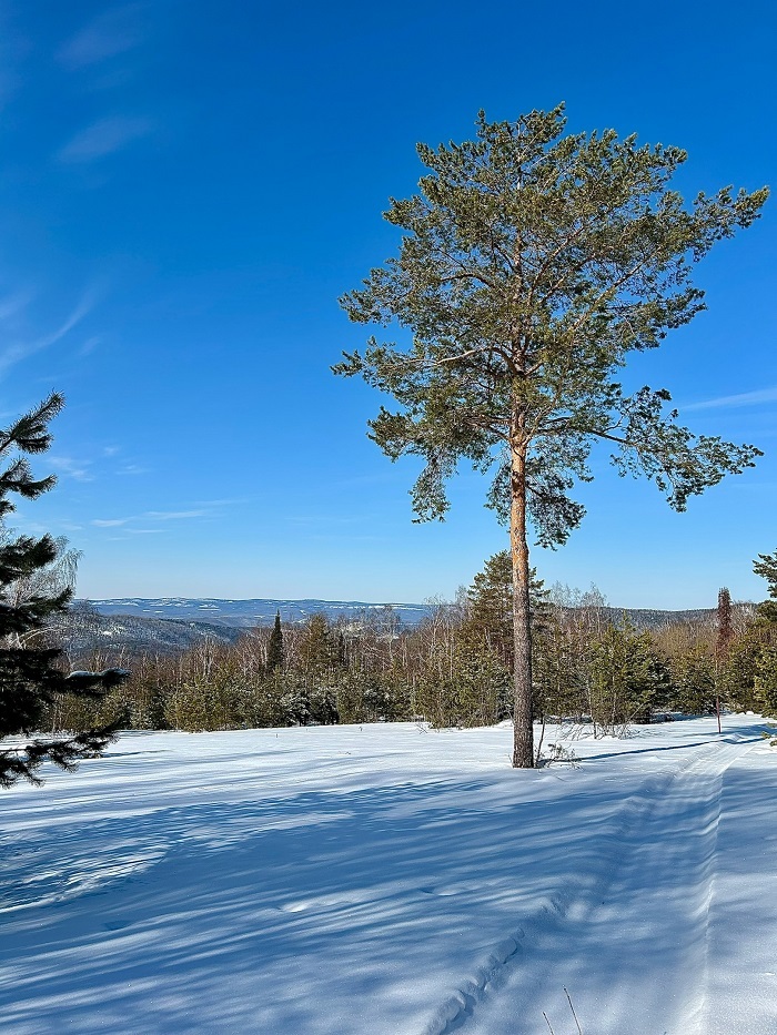Южно-Уральский государственный природный заповедник. Фото: Айгуль Ибрагимова