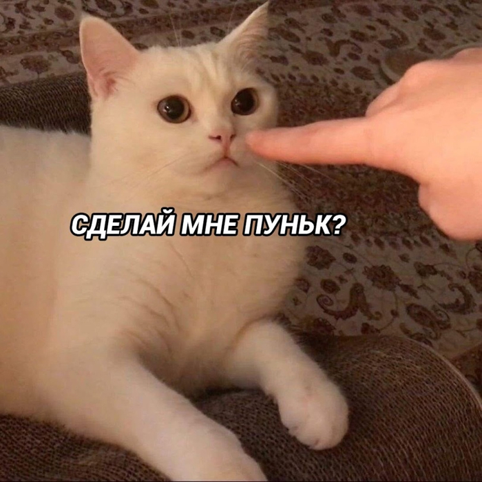   ,   , 