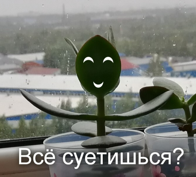 Улыбаемся и дышим: работа сработается, пятница наступит.