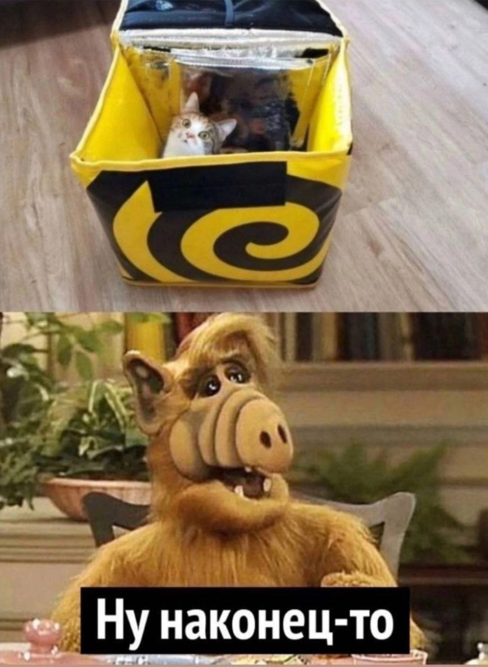   - , , 