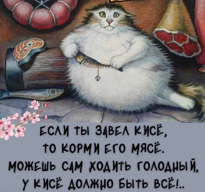   ,  ,   , , 