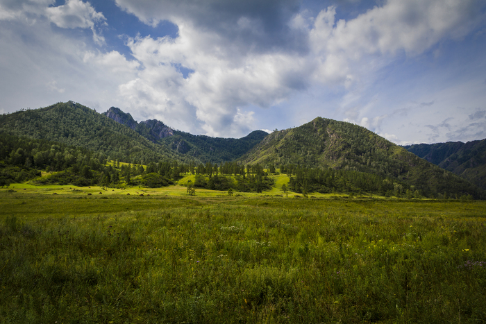 Недалеко от Еланды, левый берег Катуни...