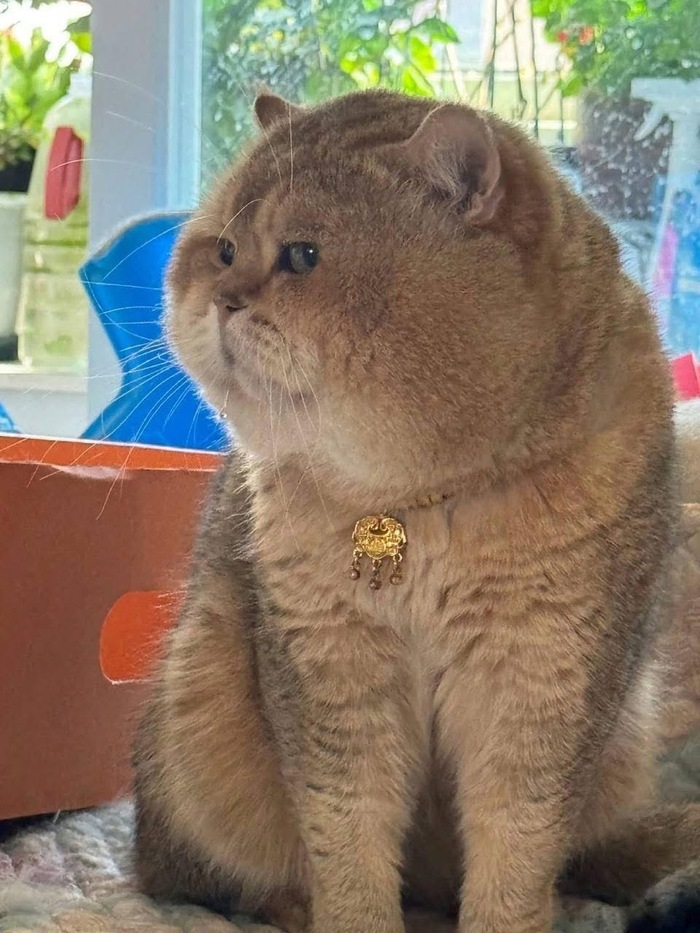   , ,  