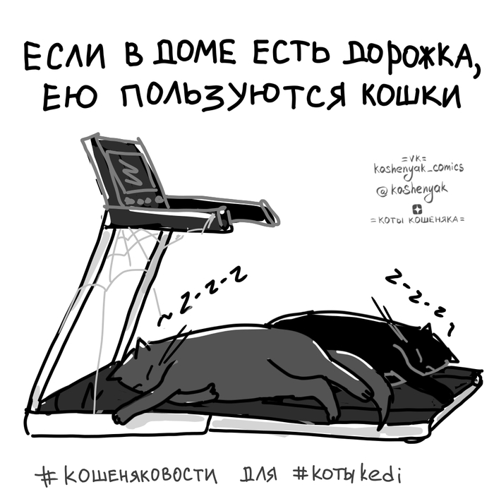   ,  , , ,  , 
