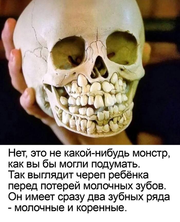 Вдруг кто не знал