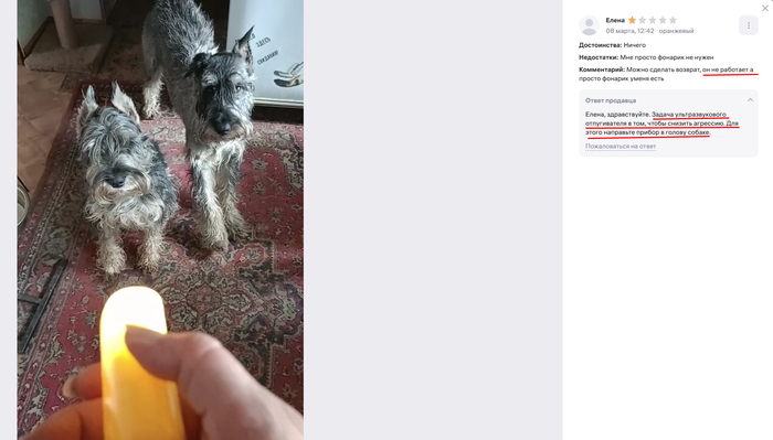    ( ),           10 ,    .