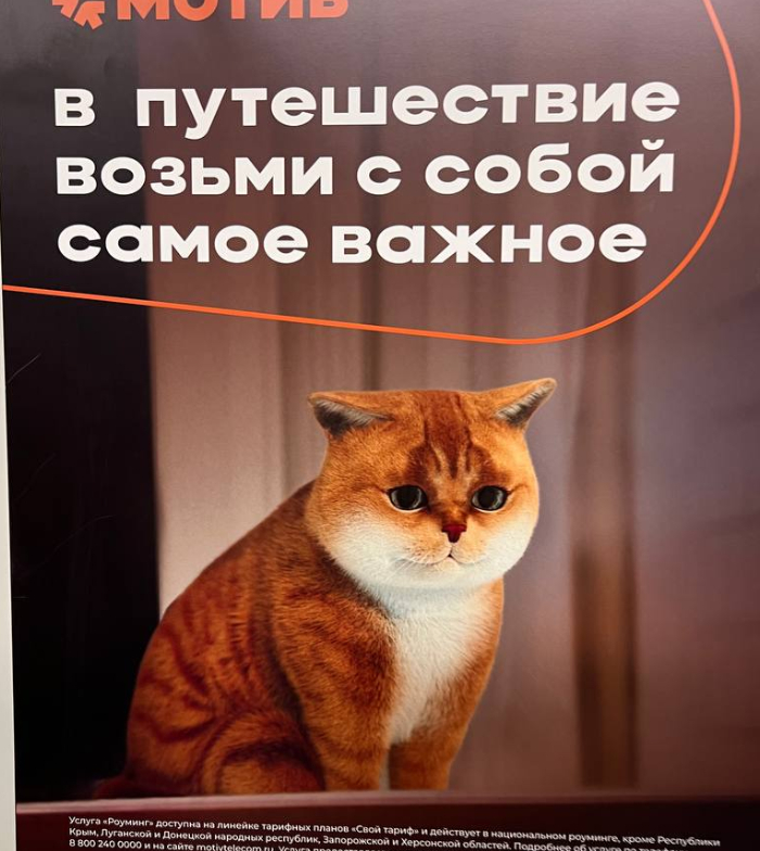     ? ,   , ,  , 
