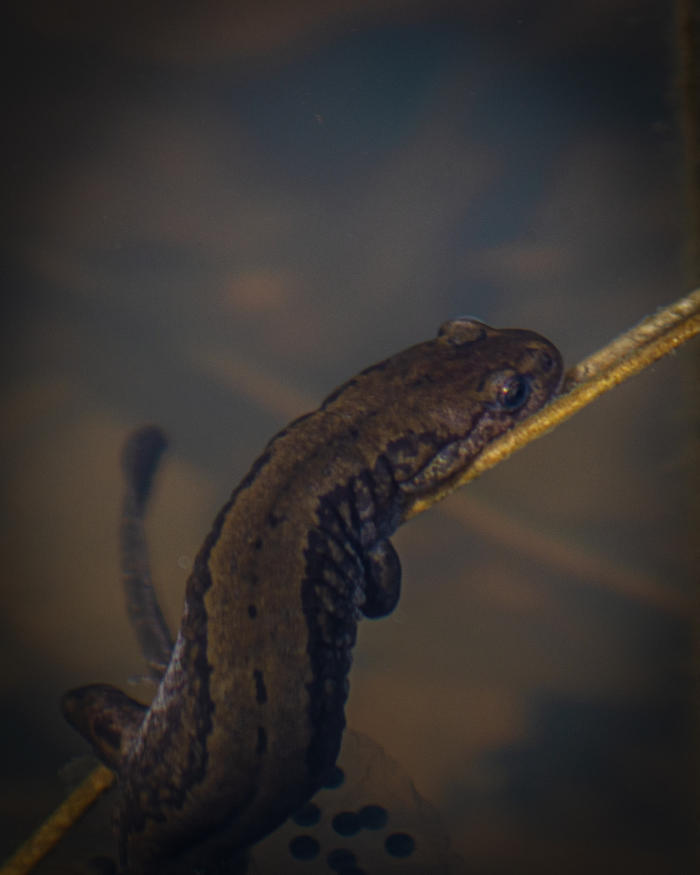 Позируем...позируем...ай молодец)