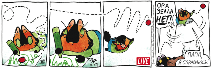 Котейкины Новости от 17.04.2025