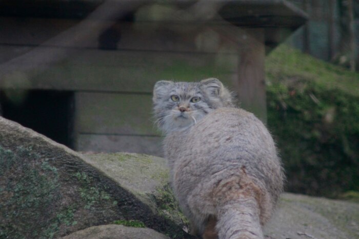 Что смотришь?