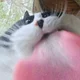 ����� ����� ������ ���� �����������