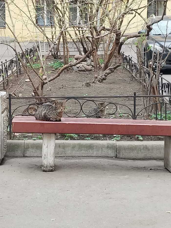    , , -, ,  