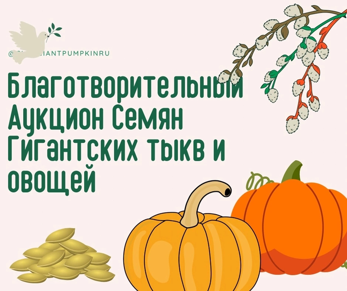    , , , , , , ,  (), 