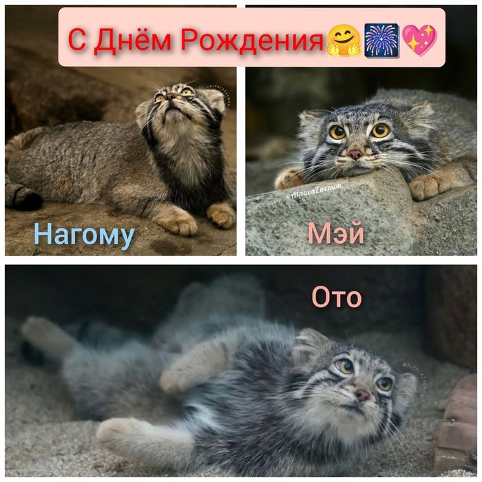 А у нас снова имениннички!