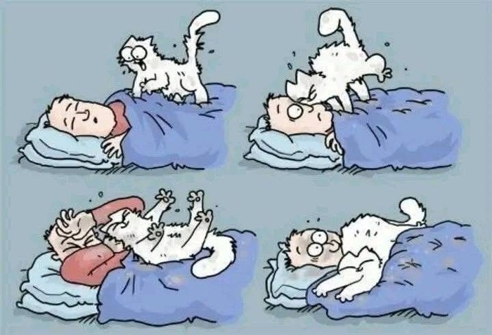 Причиняет любовь