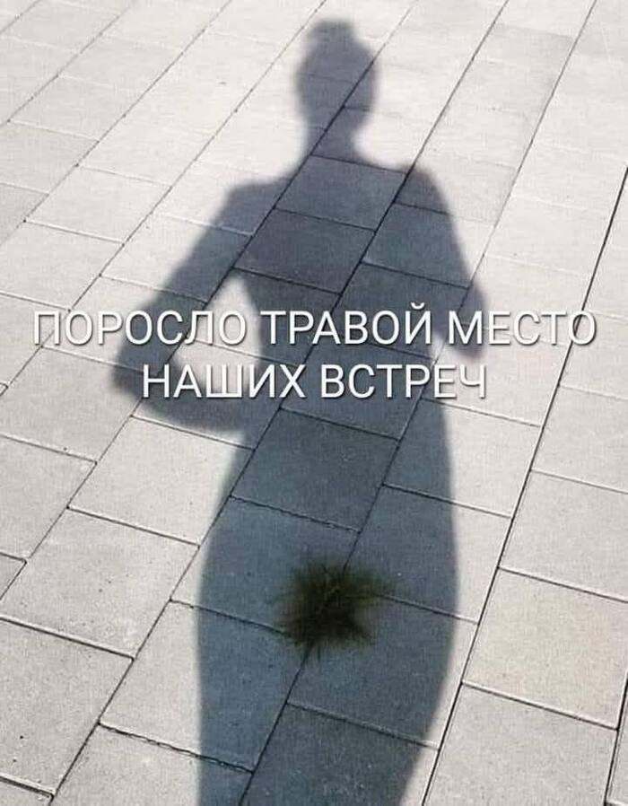     , , , , ,   ,   