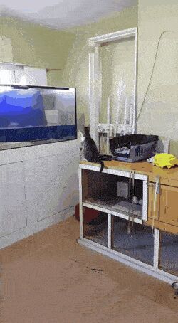   , , , 