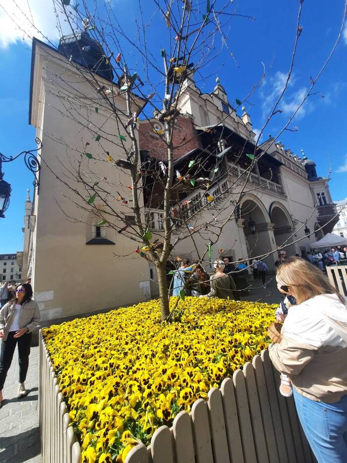 �������� �������