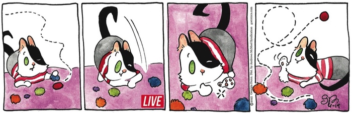 Котейкины Новости от 19.04.2025