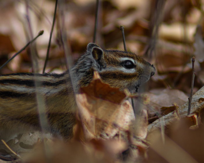 ,      &#x263A;&#xFE0F;