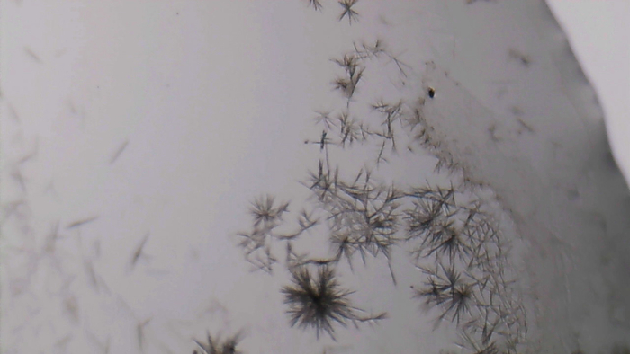 Увеличение х80, раствор