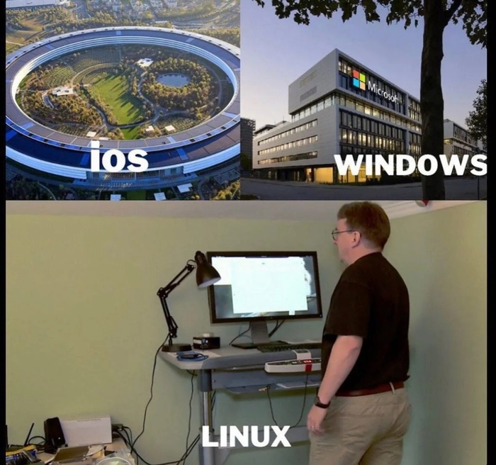 - iOS, Windows, Linux, IT , -
