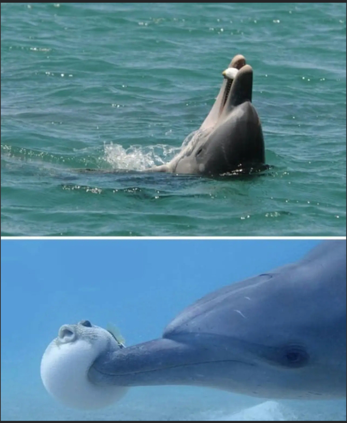 Однако наркоманы...