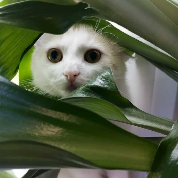 ��������� ������