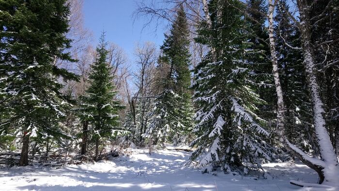 Весна в горах