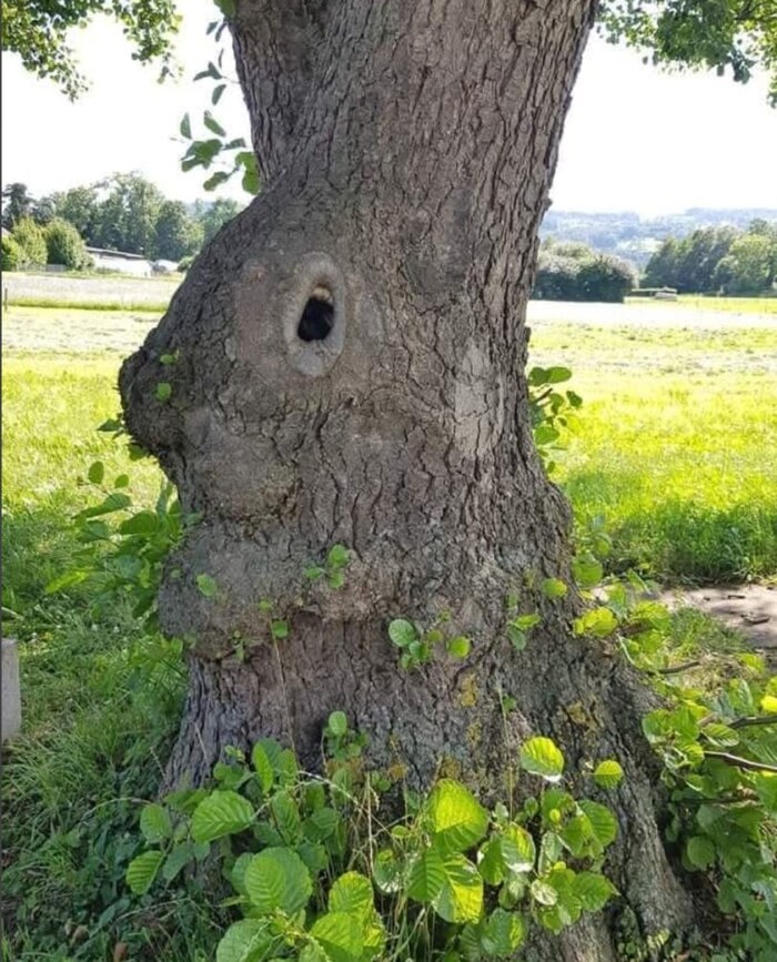 , , 