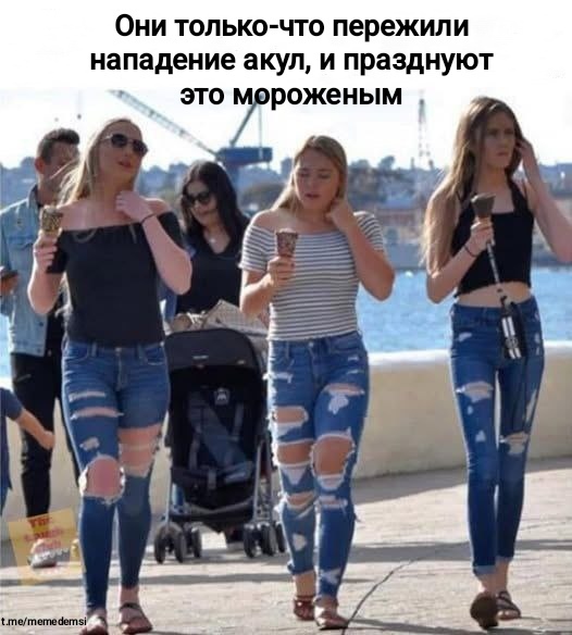    ,   , , , , ,  , , Telegram ()