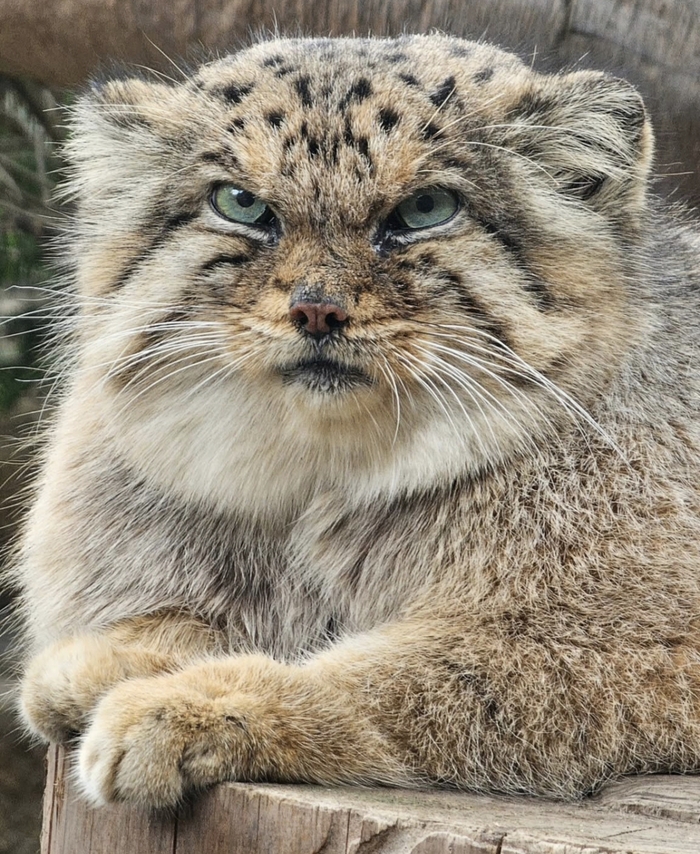 Смотрю, опять поздно легли?