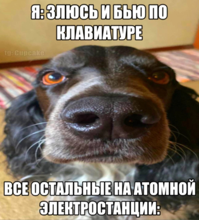  , ! , ,  ,   , ,   