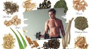 АДАПТОГЕНЫ В СПОРТИВНОМ ПИТАНИИ: КАК ОНИ ПОВЫШАЮТ ВЫНОСЛИВОСТЬ И ПОМОГАЮТ СПРАВЛЯТЬСЯ СО СТРЕССОМ?