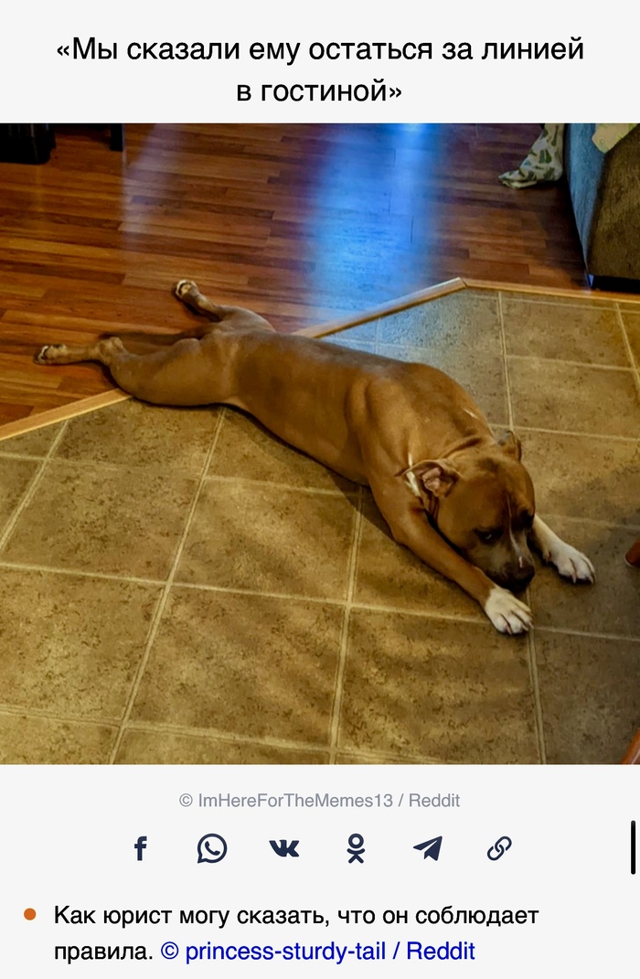   , ADME, Reddit