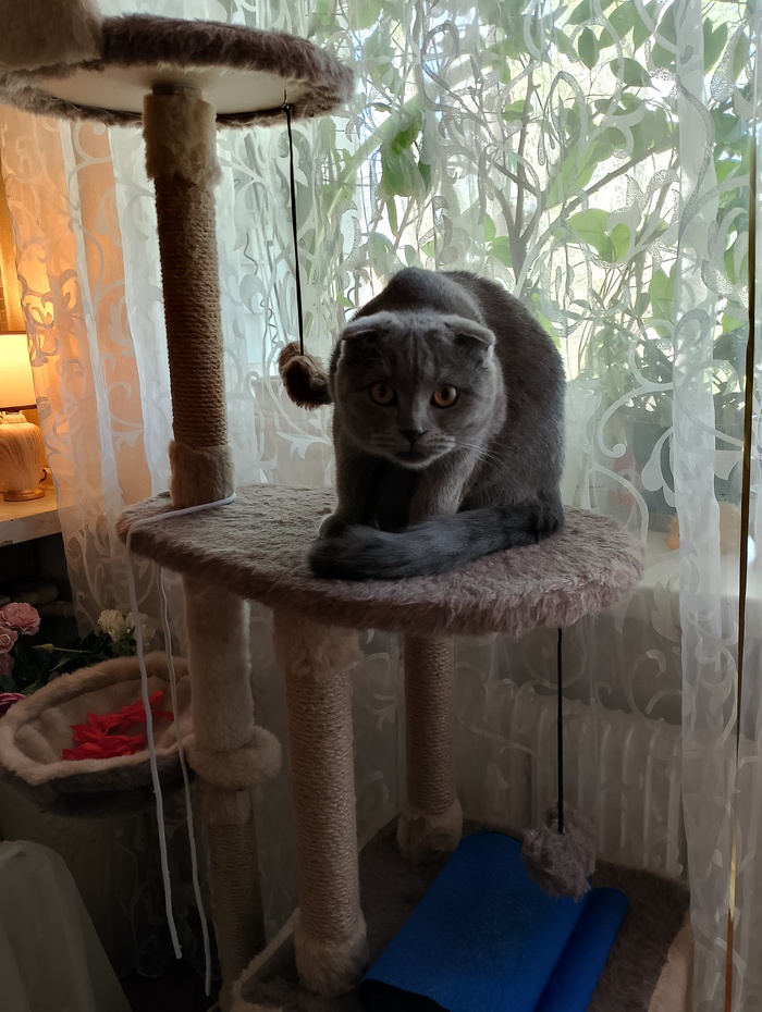 Если слишком тихо подкрался:)