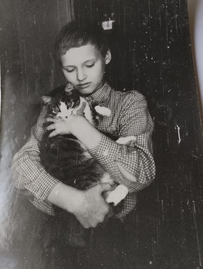 Мой первый кот